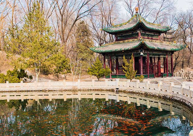 我送爸媽去山西—超級特惠雙飛5日游 我送爸媽去山西—超級特惠雙飛5日游