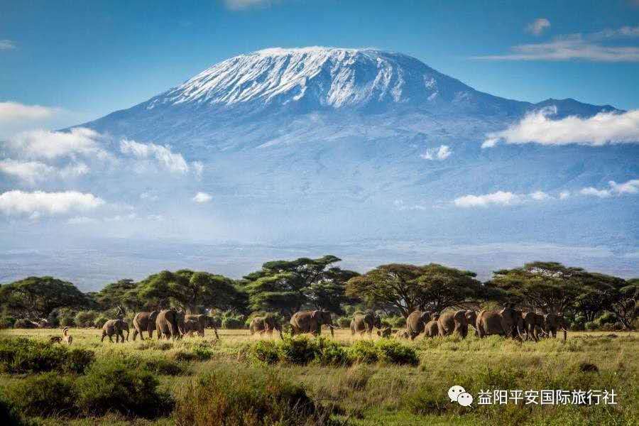 發(fā)現(xiàn)非洲體驗(yàn)之旅肯尼亞10游 發(fā)現(xiàn)非洲體驗(yàn)之旅肯尼亞10游
