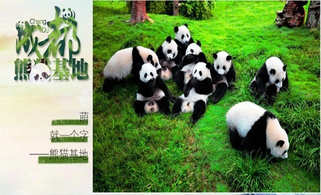 長沙、成都雙飛6天