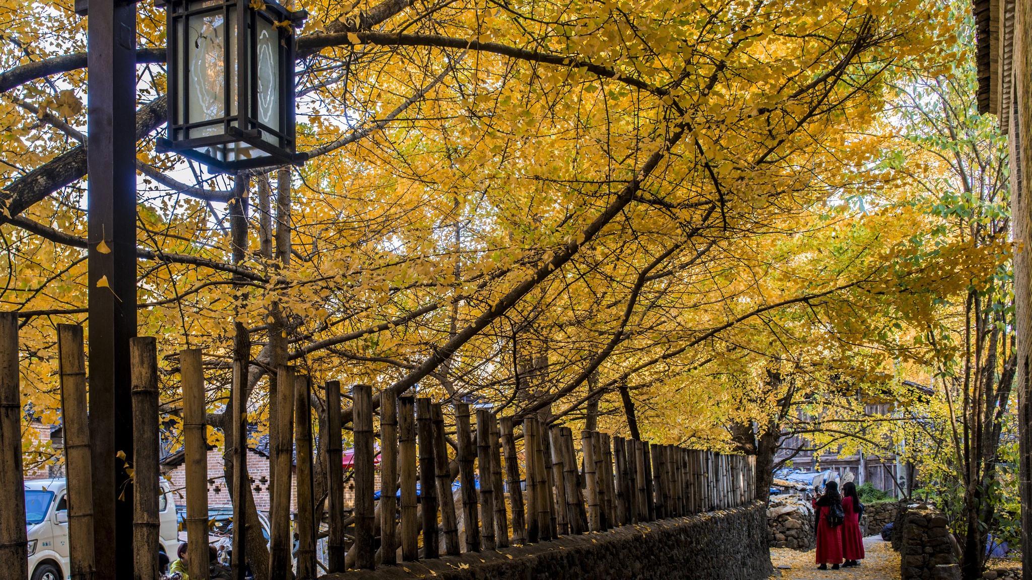 長(zhǎng)沙直飛騰沖、瑞麗、芒市雙飛六日游