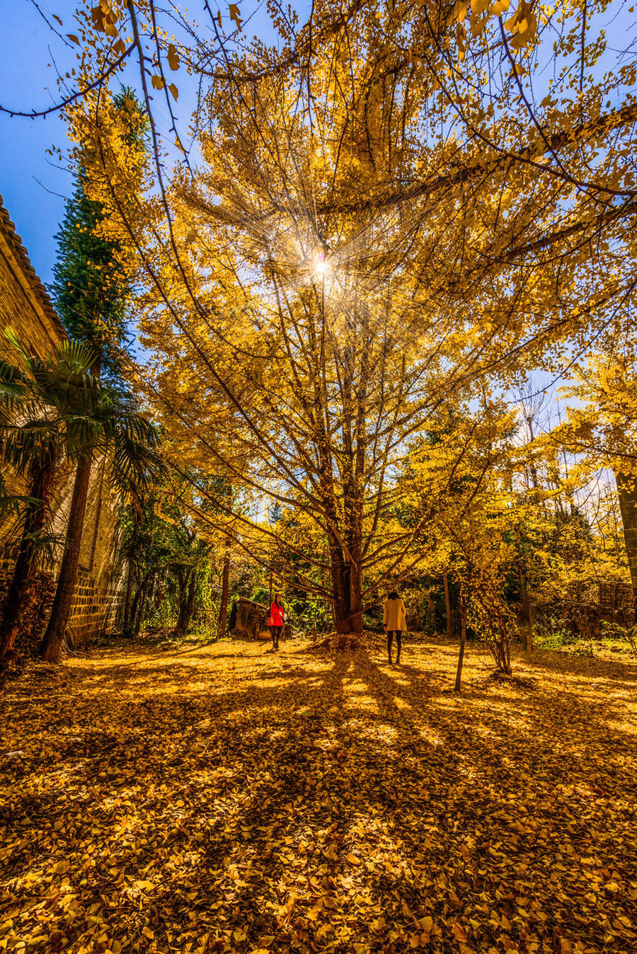 長(zhǎng)沙直飛騰沖、瑞麗、芒市雙飛六日游